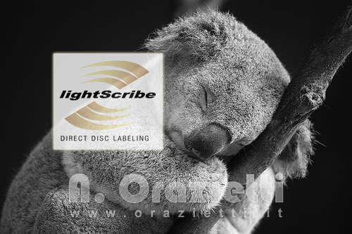 Lightscribe in Karmik Koala